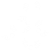Spider white