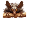 Aye-Aye Finger Animals Finger Animal