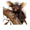 Aye-Aye Finger Animals Finger Animal