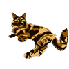 Pennya, la chatte Tortie
