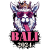 Bali 2024 Alpaka