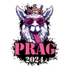 Prag 2024 Alpaka