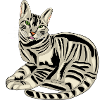 King Tabby Kitten