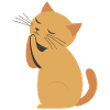 Kitty Kitty Kitty