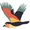 Bird Flying