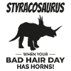 Styracosaurus Dinosaur Dino Paleontologist Fossil