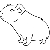 Guinea pig