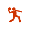 Roi de la Pétanque Précis
