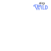 Stay wild