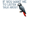 African Grey Parrot