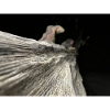 Pure Wood