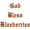 GodBlessBlueberries