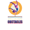 Gymnastics Vaulting Over Obstacles