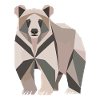 Bear Polygon