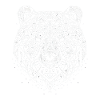 Bear Polygon