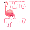 Flamingo Pink Bird