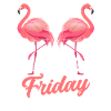 Flamingo Friday