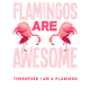 Flamingo I'm a flamingo