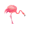 Flamingo Vogel Spruch Fuß Runter