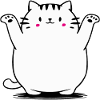 Chat mignon