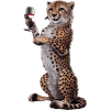 Gepard Wein