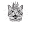 Cat with crown