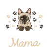 Siamese Cat Siamese Cat