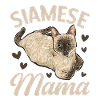 Siamese Cat Siamese Cat
