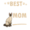Siamese Cat Siamese Cat