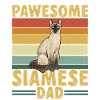 Siamese Cat Siamese Cat