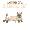 Siamese Cat Siamese Cat