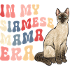 Siamese Cat Siamese Cat
