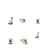 Siamese Cat Siamese Cat