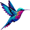 Hummingbird
