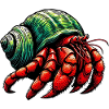 Hermit crab