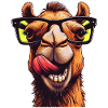 Camel with Sunglasses