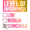 Chinchilla
