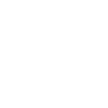 Pigeon pigeons pigeon fancier gift