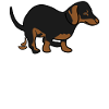 Dachshund Witz