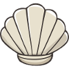 Shell - Sweet Scallop