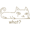 Cat What?