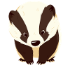 Badger Dachse Dachs
