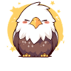 Bald Eagle Weißkopfseeadler