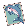 Dolphin Dolphins Marine Animals