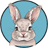 Bunny Tooth Bunny Bunny