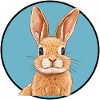 Bunny Bunnies Bunny
