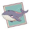 Marine Life Marine Animals