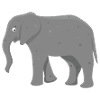 African elephant