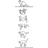 Le chat atterrit bien