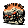 MOTORCYCLE WILD